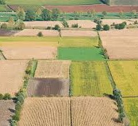 agricoltura
