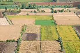 agricoltura