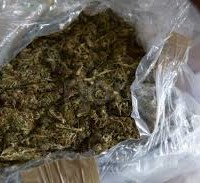 marijuana1