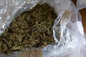 marijuana1