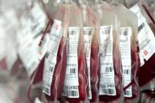 sangue