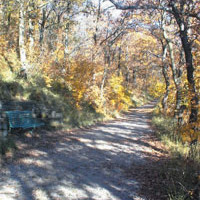 parco