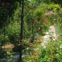 Parco di San Giovanni Rose