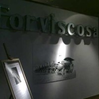 Torviscosa