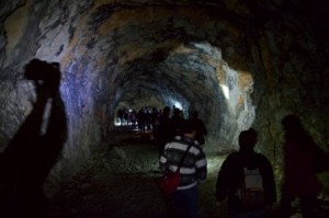bunker opicina