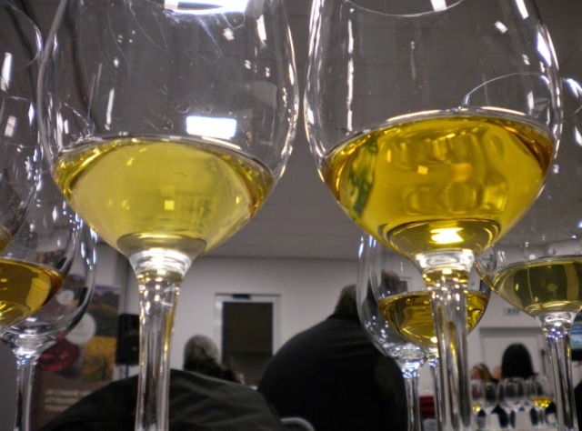 vino carso