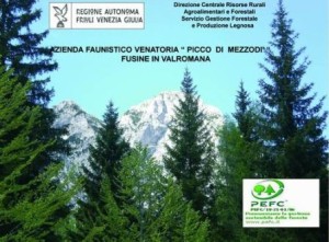 Picco_Mezzodi